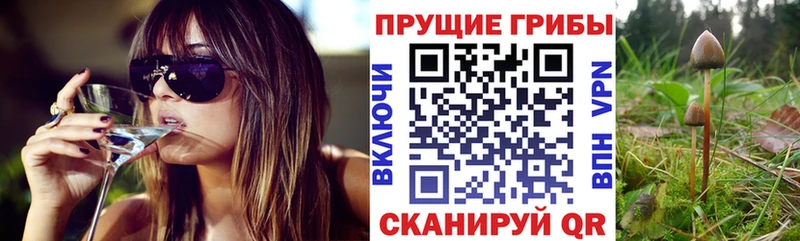 Галлюциногенные грибы мухоморы  Балашиха 