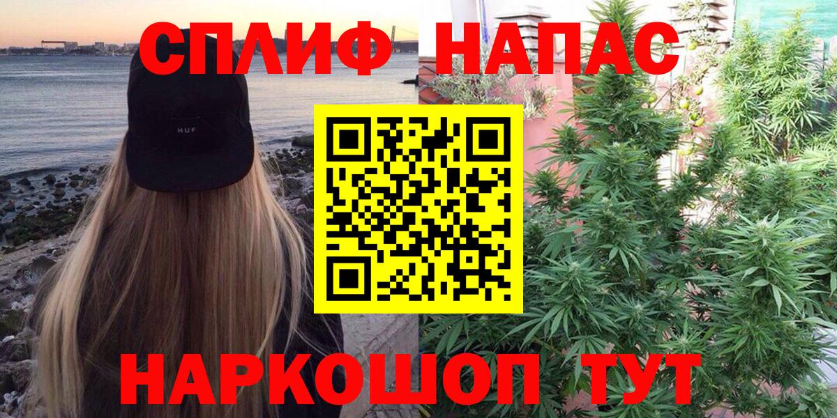 Каннабис конопля Балашиха